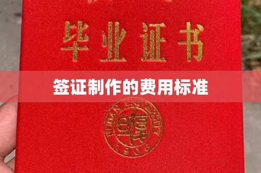 桥头签证制作的费用标准