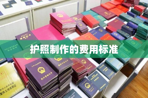桥头护照制作的费用标准